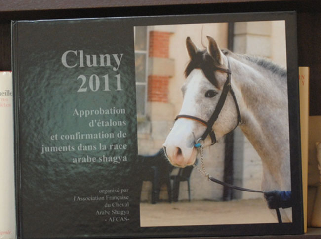 Cluny 2011