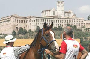 Campionati Europei di Endurance 2009 ad Assisi
