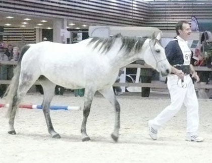 concours elevage 2007