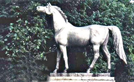Statue équestre à Babolna