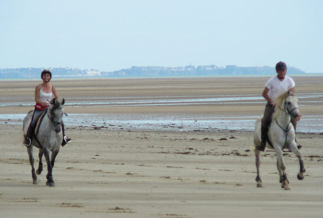 Deux jeunes shagyas sur la plage