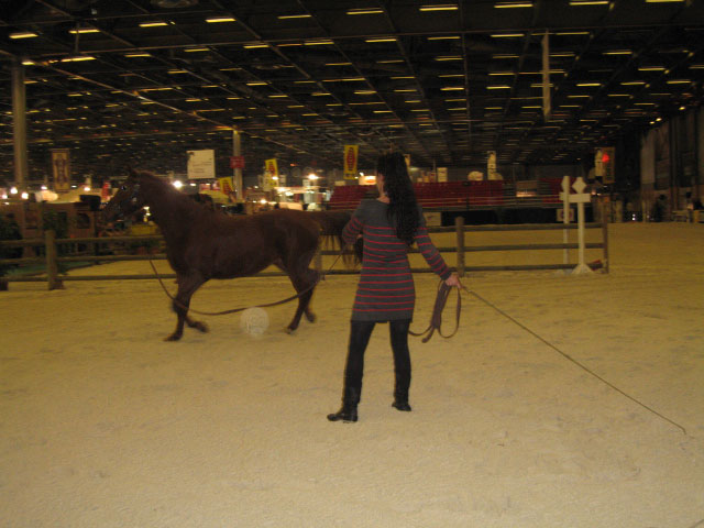 salon du cheval paris 2010