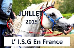 l'ISG en France en 2015