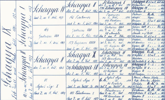 Pedigree de Schagya IX né en 1895
