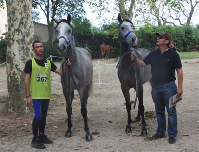 Rafik et Rakio Arverne