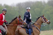 Résultats 2013 des shagyas en endurance régionales et amateurs (20-90km)