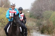 Résultats 2015 des shagyas en endurance régionales et amateurs (20-90km)